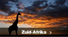 Groepsreis naar Zuid-Afrika